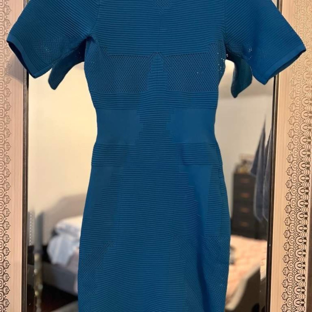 Alexander Wayne dress size medium fits small I am a size 2